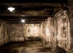 毒气室,历史阴影下的死亡机器