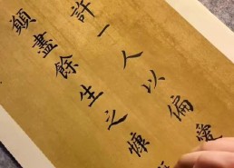 许一人以偏爱,谱写人生华章