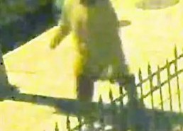 露营地变态女主管,揭秘变态女主管的恐怖阴影